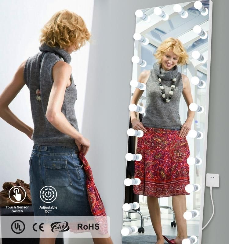 Full Length Dressing Mirror with Light