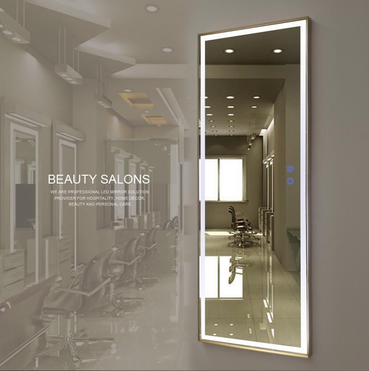 Home Professional Vanity Dressing Full Length Body Mirror