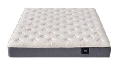 Soft Bedding Mattresses Collections High-Grade Cashmere Surface 24cm Thickness Spring Latex Bed Mattress