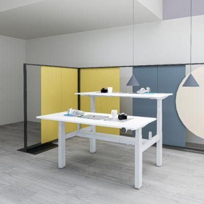Modern Design 1500n Load Capacity Table 2 Legs Adjustable Desk