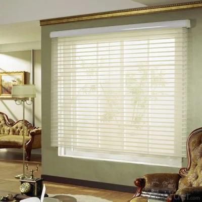 Automatic Fabric Zebra Blind Remote Control Window Shade Zebra Blind