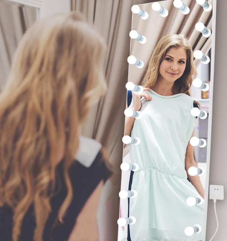 Full Length Dressing Mirror with Light