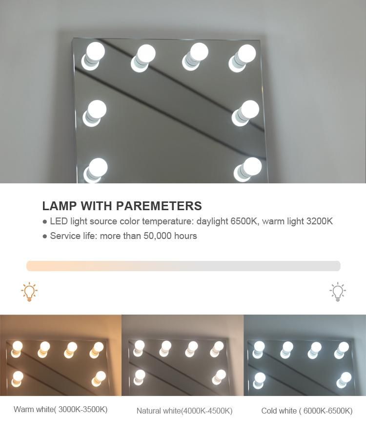 Full Length Dressing Mirror with Light