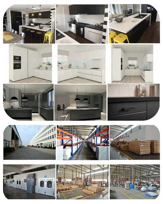 Matt Lacquer Door Plywood Carcass Kitchen Furniture with Exterior Handle