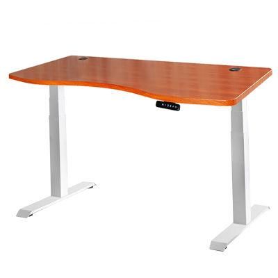 Professional Ergonomic Office Sit Standing Desk for Work Home