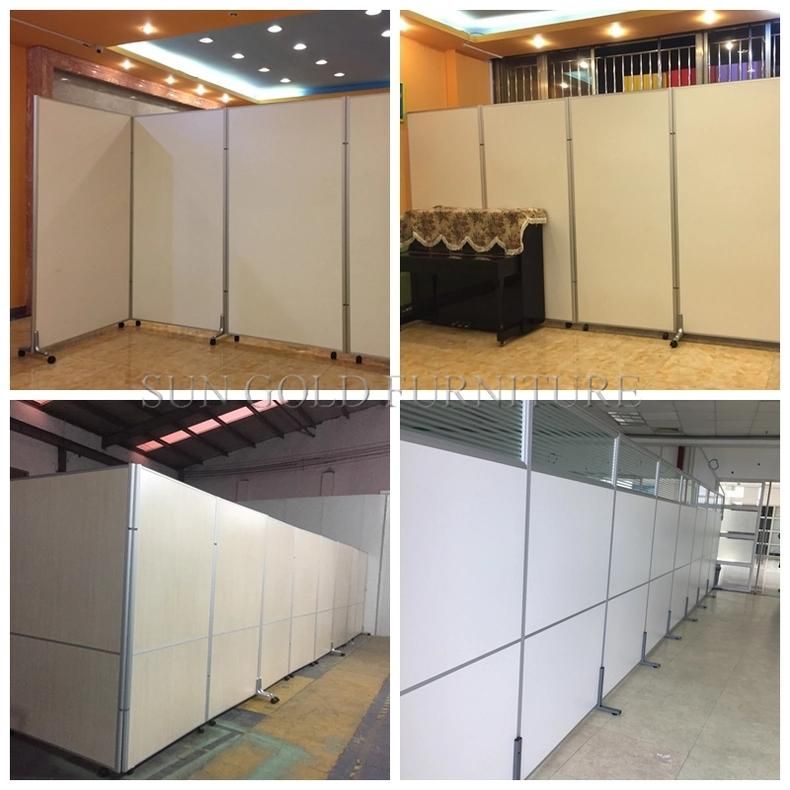 Cheap Divider Walls Modern Tempered Office Partition Glass Wall (SZ-WS574)