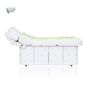 Fashionable Wooden Electric Facial Water Beauty Chair with Cabinet (20D01)