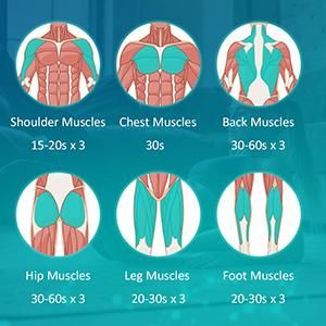 2020 New Body Massager 24V Massage Fascia Gun Fascia Gun 5 Heads Muscle Stimulator Massager
