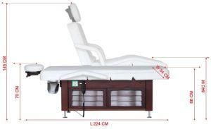 VIP SPA Club Multifunctional 3 Motor Electric Thermal Beauty Chair with Ce (D14820)