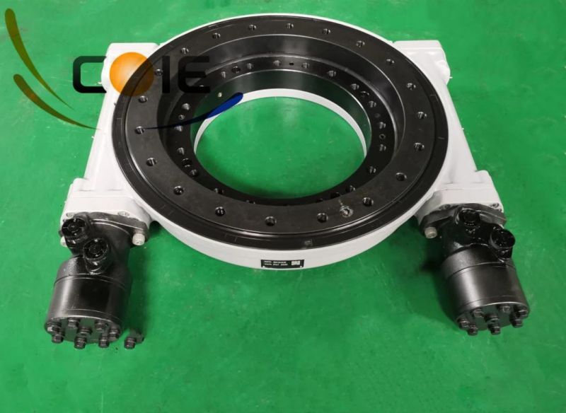 Double Worm Slewing Drive Wh17-2 for Aerial Working Platform