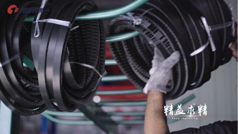 Oil and Heat-Resistant V Belt for Harvest Combines Claas, John Deere, Laverda, Case-Ih