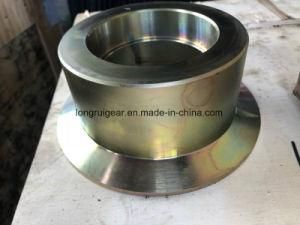 High Quality Machine Worm 45steel; Gears High Precision