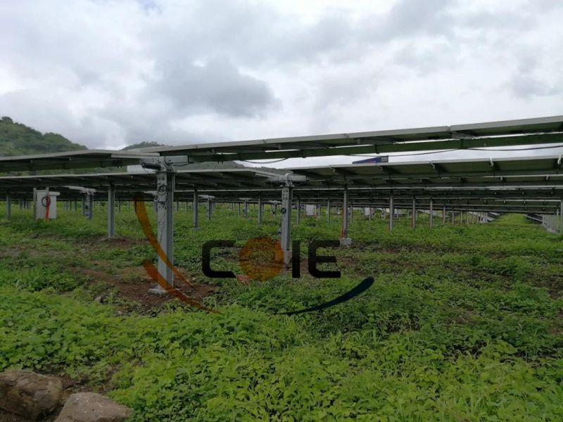 Vh8 Slewing Drive 24VDC Motor for Bifacial Solar Tracking