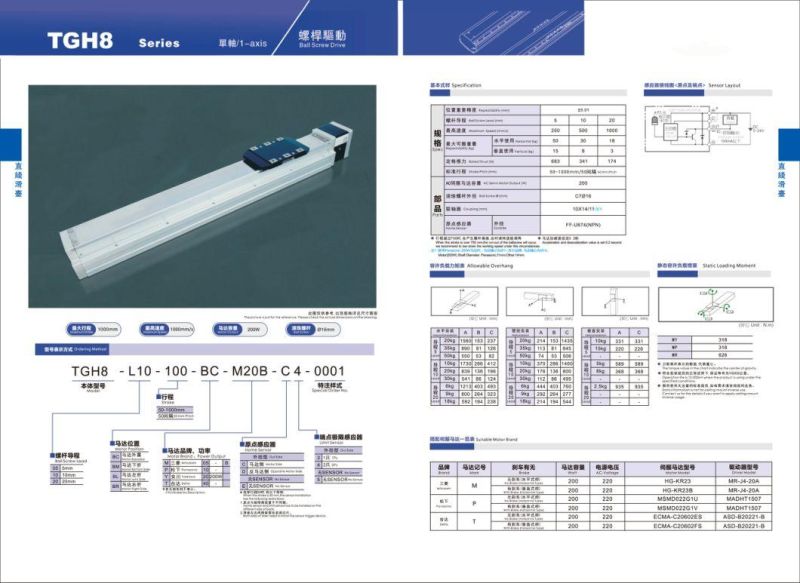 Single Axis Stages/Robot Linear Actuator Mono Stage for Automation Manufacturing