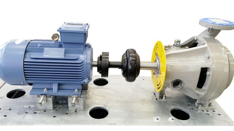 Elastic Flexible Tire Coupling F100 Fenner Tyre Coupling for Vacuum Pumps