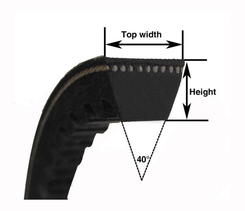 Wholesale High Quality Cx1000li Rubber Toothed Belt