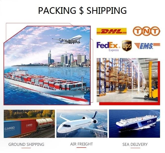 Right Angle Gearbox China Manufacturer Hole Output Planetary Gear Boxes Reducer for Medical Equipment