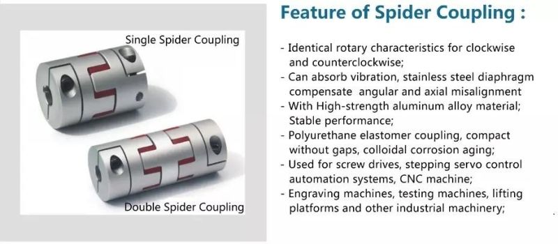 Zs Factory Price High Precision Flexible Coupling Single Disk Type for Automation Machinery