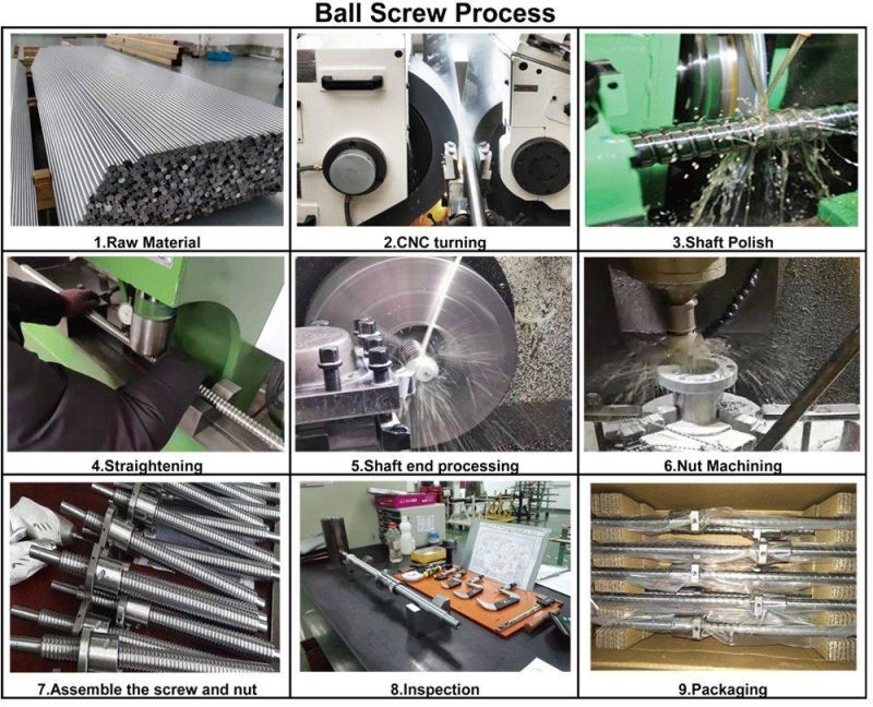 Customize CNC Ball Screw Motion Slider Linear Guide Module