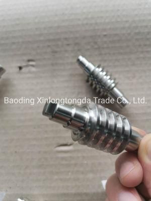 OEM Non-Standard Stainless Steel Worm