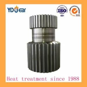 Spur Planet, Planetary Pinion Gear Used on Cement Industry