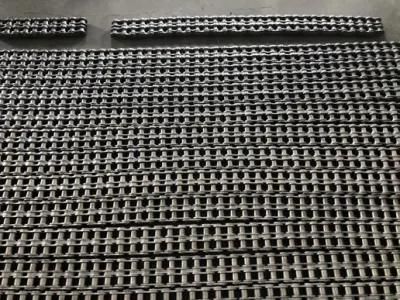 16bss-1 Simplex Stainless Steel Engineering and Construction Machinery Short Pitch Roller Chains and Bush Chain