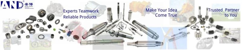 Customized Hot Sales Transmission Gear 05g03 59