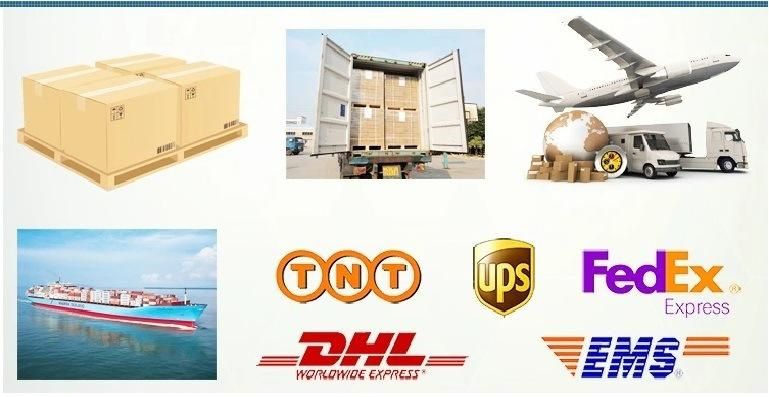 Transmission Parts Helical Gears Planetary Gear Boxes for Spring Machinery Equipment