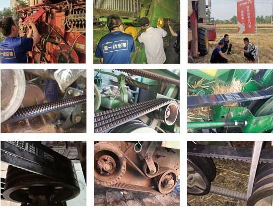 Oil and Heat-Resistant V Belt for Harvest Combines Claas, John Deere, Laverda, Case-Ih
