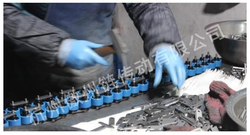 Triple Speed Chain with Steel Plate Nylon Roller Used in Conveyor Belt