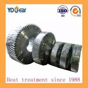 Transmission Planet Gear Wheel Used on Cement Industry Gear Box