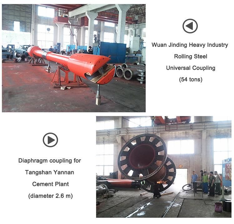 Densen Customized Bushed Pin Coupling, Pin Coupling with Elastic Sleeve, Flexible Pin Coupling