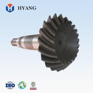 China Small Pinion Gear