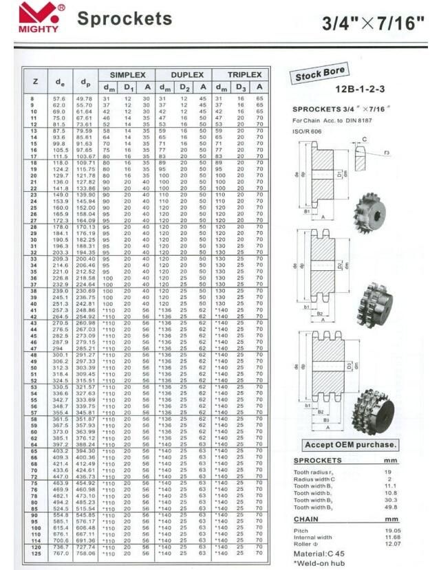 Motorcycle Chain and Sprocket