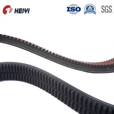 EPDM Rubber Polyster V Belt, 4pk, 6pk, 8pk for Truck, Bus, Car, Auto, Scooter