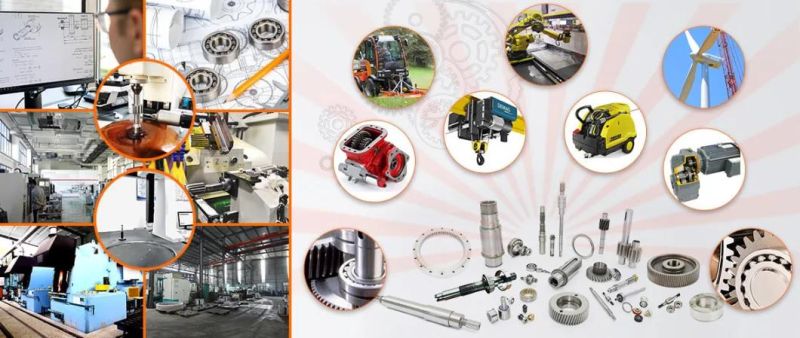 Customized Hot Sales Transmission Gear 05g03 59