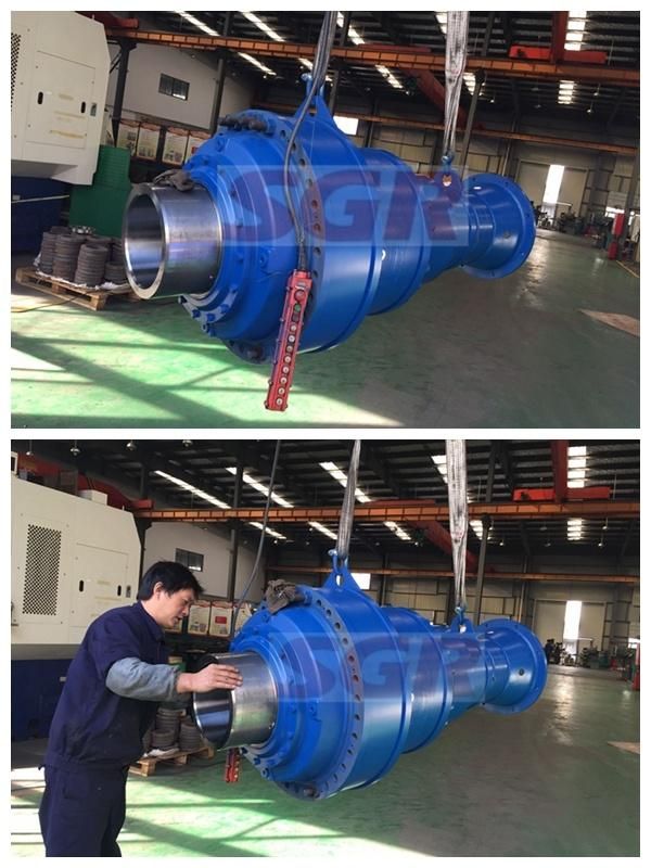 Sgr in-Line Straight Planetary Gear Speed Reducer with High Torque Can Replace Bonfiglioli Model