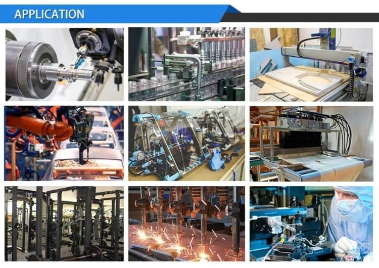 Linear Guide Rail 400mm Stroke Linear Motion Actuator Module