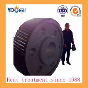Wind Power Industry External Ring Gear