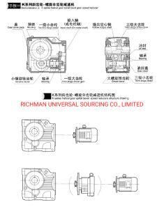 Qiangzhu Reductores De Velocidad Helicoidales De La Serie De S
