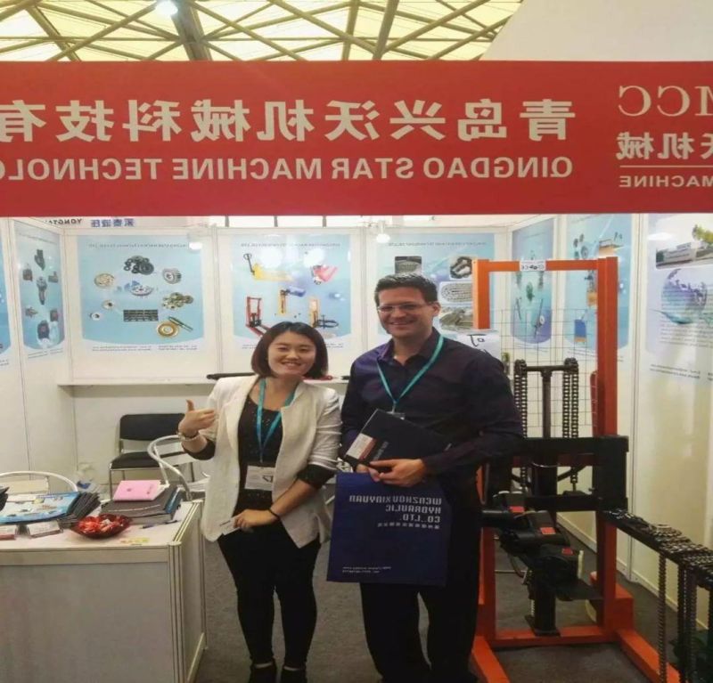 High-Intensity and Wear Resistance P152f100 China Standard and ISO and ANSI Conveyor Chain