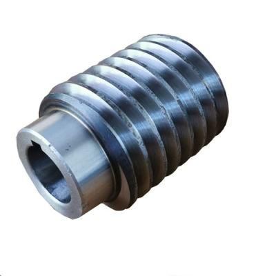Top Quality Worm for Reducer Power Transmision System China