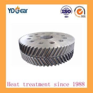 Large Module Metallurgy Gear