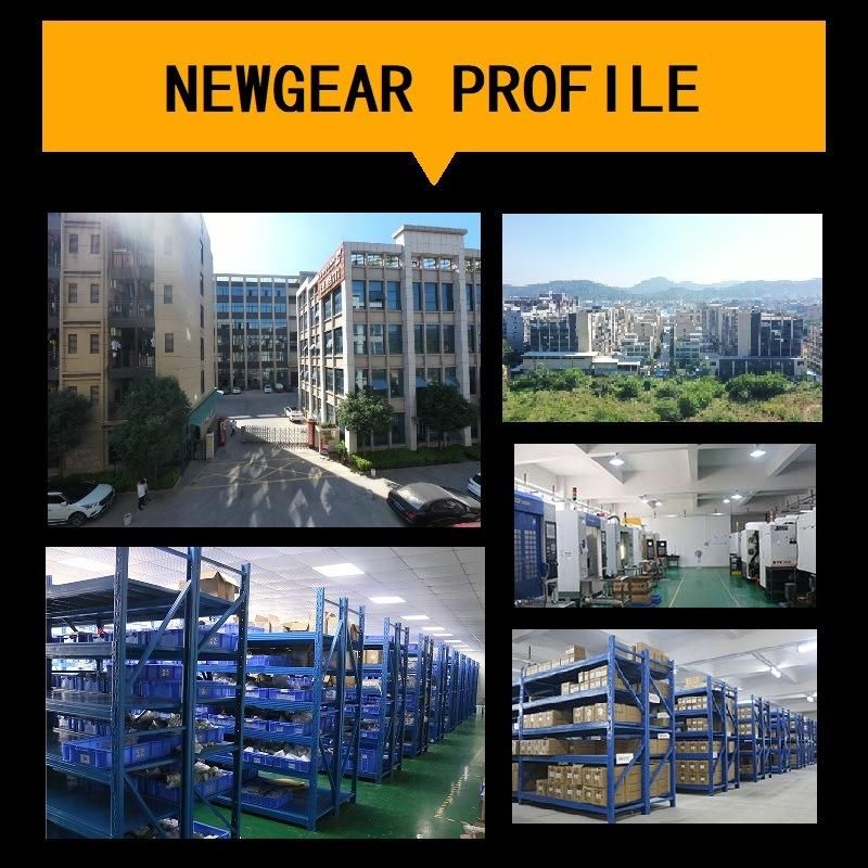 Maintenance-Free Internal Gears Helical Gear Parts Planetary Reducer