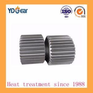 Transmission Gears Used on Cement Industry Gear Box