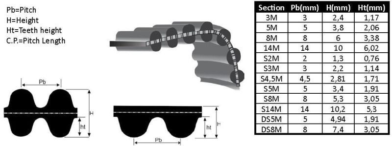 Htd High Torque Drive Belt (3M 5M 8M 14M)