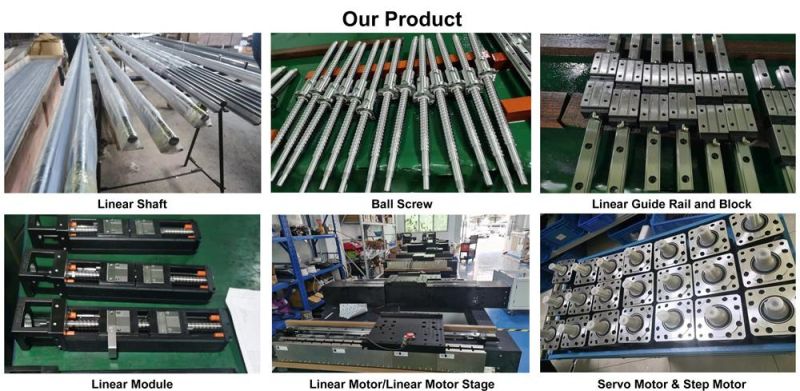 Customize CNC Ball Screw Motion Slider Linear Guide Module