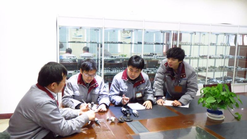 Motor Supplier in China High Torque Gear DC Motor