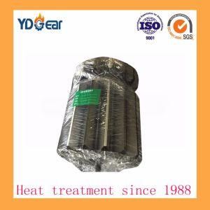 Transmission Sun Geared Wheel Used on Wind Power Industry Reducer