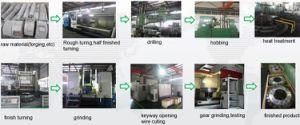 Metallurgical Industry Reducer Double Helical Gear